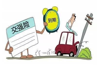 小汽車交強險一年多少錢