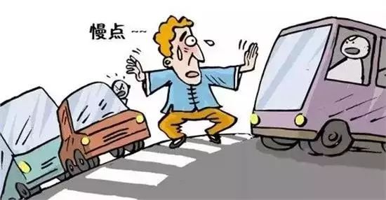 停車讓行標(biāo)志沒(méi)停車出了事故誰(shuí)的責(zé)任