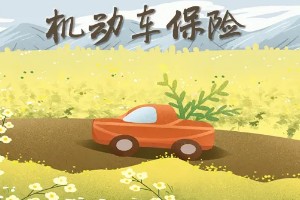 車險(xiǎn)買哪幾種險(xiǎn)就夠了 買四種保險(xiǎn)就夠了