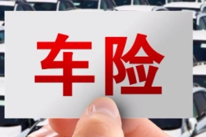 一般車險(xiǎn)都買(mǎi)那些 根據(jù)實(shí)際使用用車情況購(gòu)買(mǎi)（交強(qiáng)險(xiǎn)/商業(yè)險(xiǎn)）