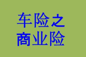 車輛損失險(xiǎn)是什么意思 車輛受到保險(xiǎn)范圍損害可理賠（雷擊/暴雨）