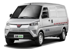 五菱ev50電動車售價多少錢 2022款五菱ev50售價13萬(落地13萬)