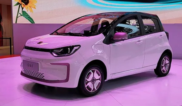 花仙子電動(dòng)汽車(chē)價(jià)格圖片 2023款花仙子售價(jià)6萬(wàn)(落地價(jià)7萬(wàn))